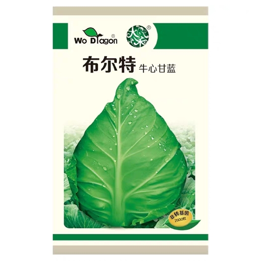 绿甘蓝种子 布尔特牛心甘蓝种籽意大利杂交卷心菜大头菜特色