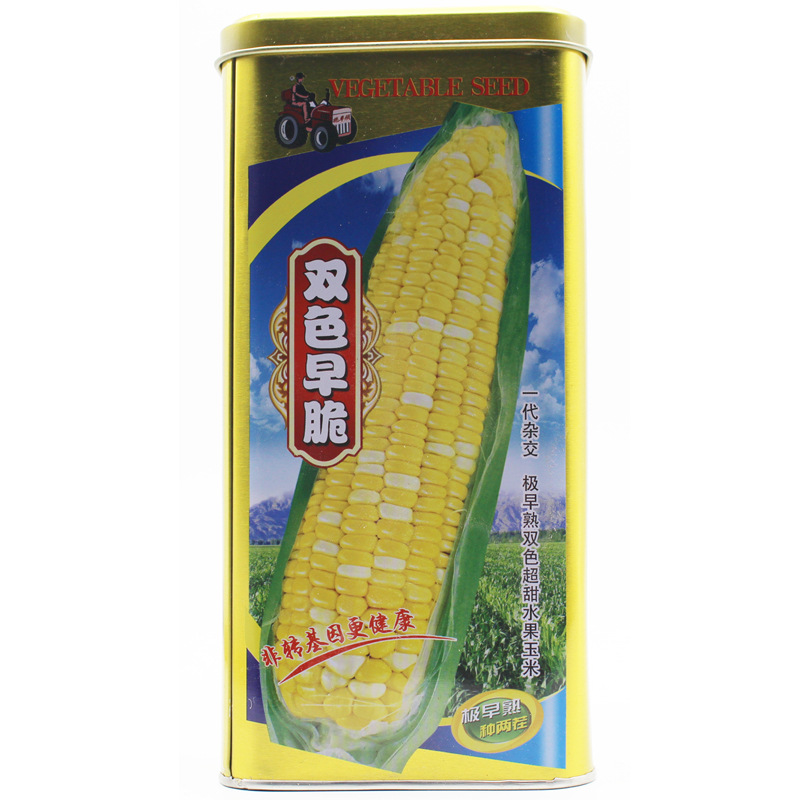 南靖县先达901玉米种子  甜糯玉米种子 黄白双色甜玉米