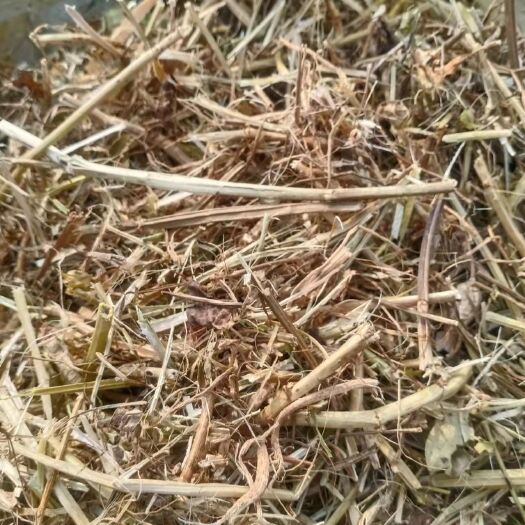 商水县花生秧 优质草料