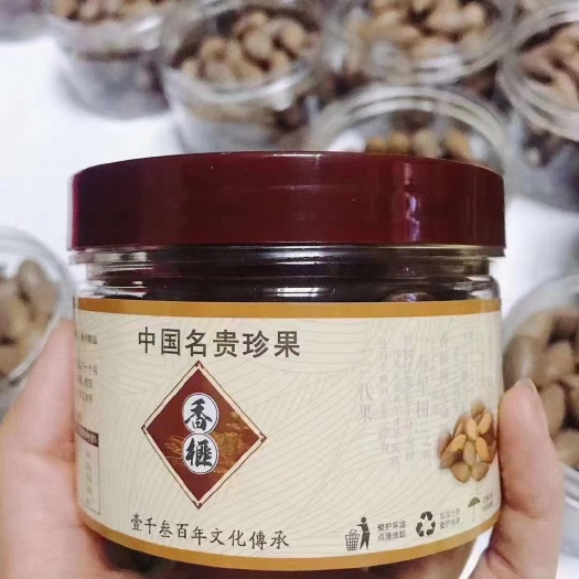 绍兴 千年百年老树香榧
