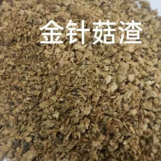正定县糟渣类饲料  预混料 粉碎金针菇渣 金针菇渣 蛋白高 现货长期供应 产品质