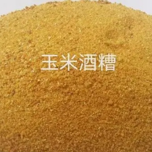 济南 玉米酒糟 适口性好高脂高蛋白饲料 成本低营养丰富大量现货供应