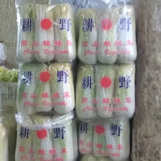 大顆  小顆娃娃菜大量有貨