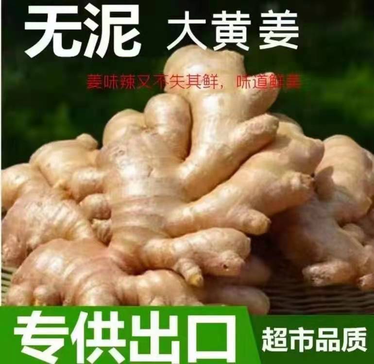 老姜，山东生姜，生姜产地直销，大黄姜，小黄姜，专业存储加工。