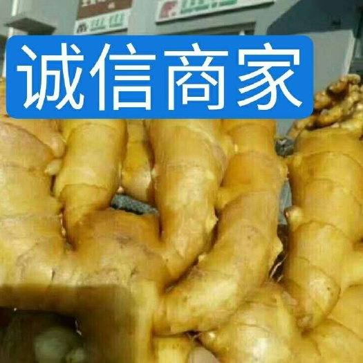 潍坊老姜，山东生姜，生姜产地直销，大黄姜，小黄姜，专业存储加工。