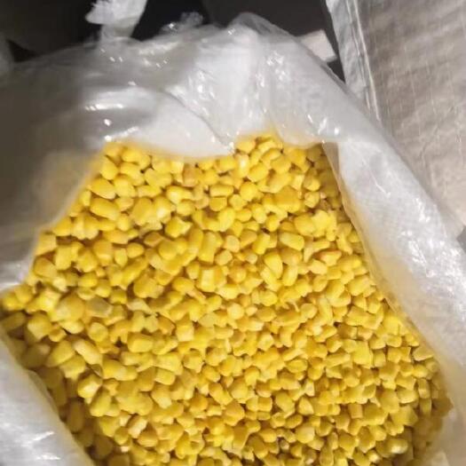 乐亭县冻干玉米  超甜玉米粒    速冻超甜玉米粒