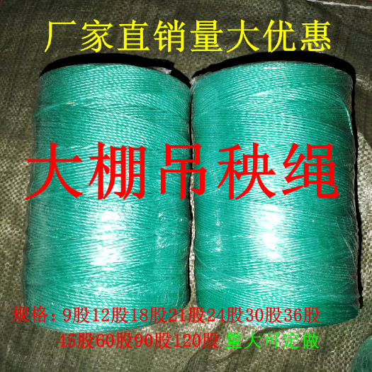 无棣县 大棚压膜绳蔬菜吊秧绳黄瓜丝瓜吊蔓绳辣椒豆角吊绳拉枝绳封口袋绳