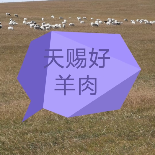 察右中旗羊肉类 现杀锡盟草原羊，肉质鲜嫩油香，
