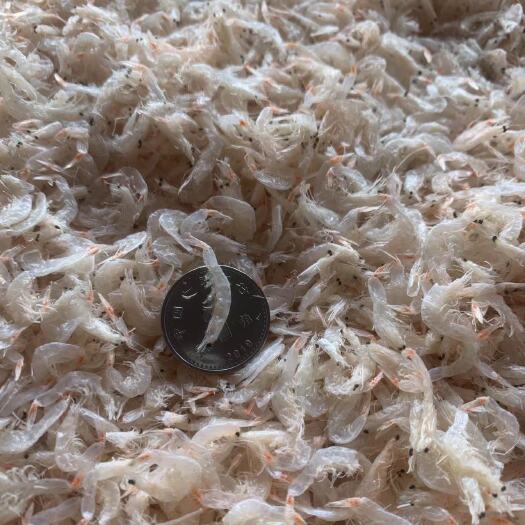 滨州淡干无盐虾皮一箱9.8斤不好吃不干包退货