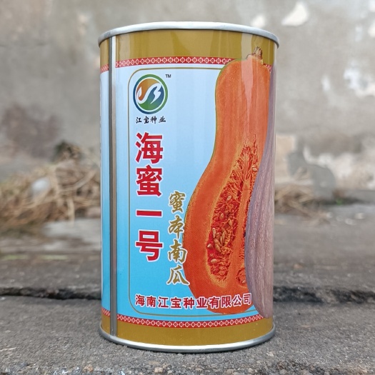 海南江宝种业海蜜一号蜜本南瓜种子早中熟瓜肉橙红色味甜高 产