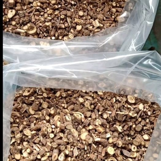 新绛县北柴胡 山西柴胡