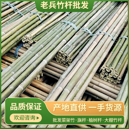 竹竿 批发菜架竹，旗杆，植树杆！大棚竹杆！