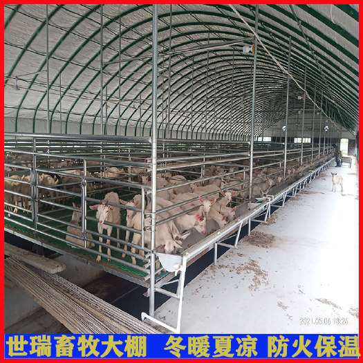 宁津县养殖大棚 养羊大棚生产安装山羊养殖棚搭建羊舍大棚施工安装