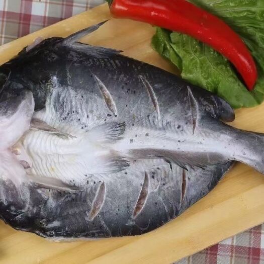 济南开背鮰鱼 烤鱼必备