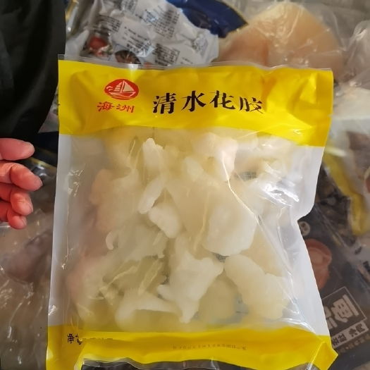 上海 鲜冻花胶小龙胶鱼肚佛跳墙原材料