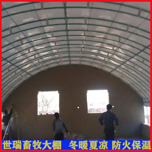 宁津县养殖大棚 定制养鸭大棚笼养鸭棚建设肉鸭养殖棚施工规划