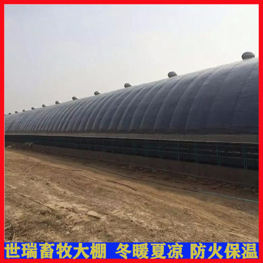 宁津县养殖大棚 定制养猪大棚育肥养猪棚搭建钢架养猪舍建设