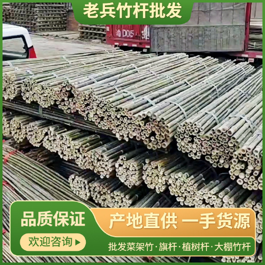 竹签  短节麻竹！质量好，价格便宜！需要的联系我，