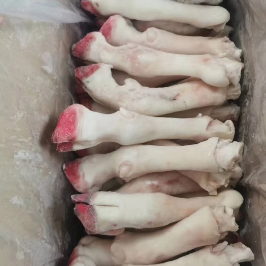 郑州 羊蹄