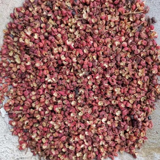 亳州大红袍花椒 花椒