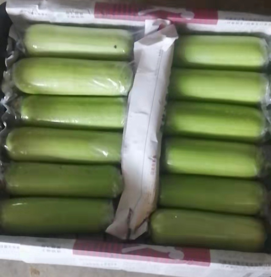 徐闻县白玉丝瓜长年供货