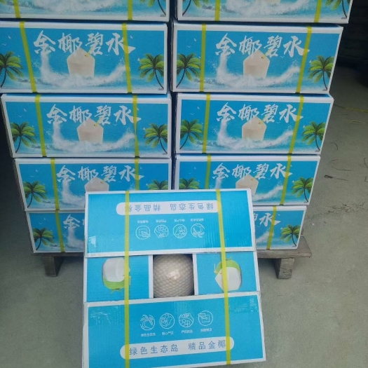 文昌市海南椰子箱装椰青一件代发