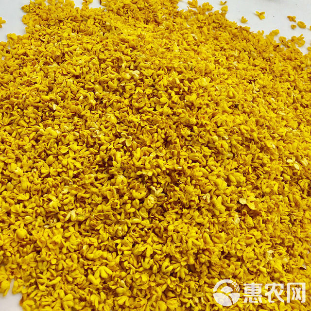 广西桂林精品6A级桂花瓣 真空脱水干桂花无硫原色香味桂花干