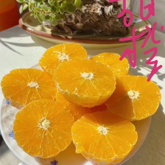 古蔺县马蹄甜橙