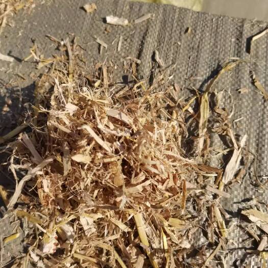 濉溪县 玉米秸秆