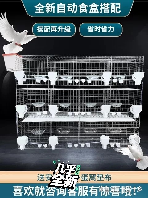 石家庄笼具鸽笼兔笼小鸡笼鹌鹑笼鸡笼  家用养殖笼子厂棚用繁殖规模
