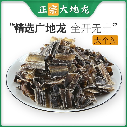 虞城县广地龙 地龙干片100g蚯蚓干广西中药材全开无土大片货
