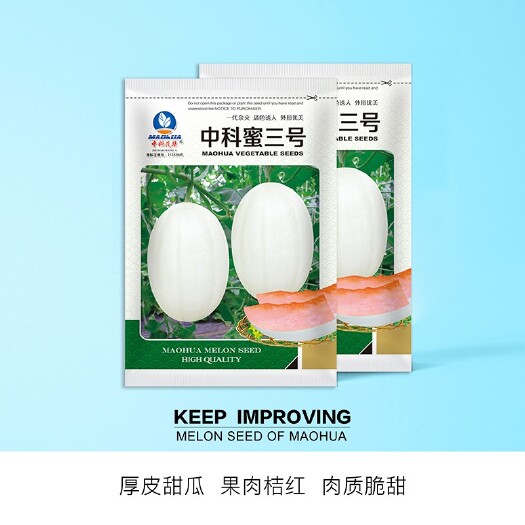 夏邑县中科蜜三号厚皮甜瓜种子，白皮桔红肉，含糖19度，脆甜爽口，
