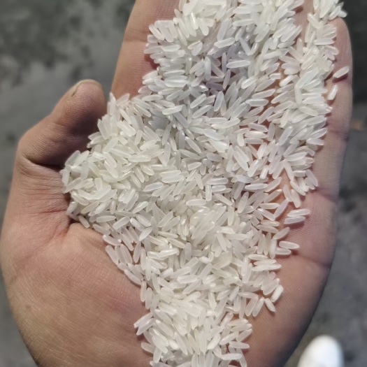 永丰县江西今年油粘米