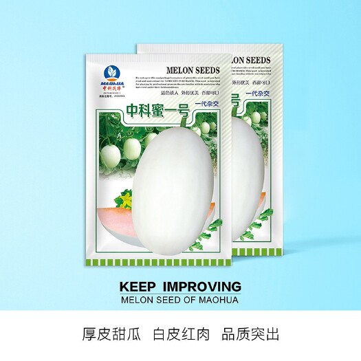 夏邑县中科蜜一号厚皮甜瓜种子，