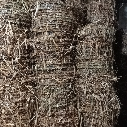 常德小籽茶枯出油量高