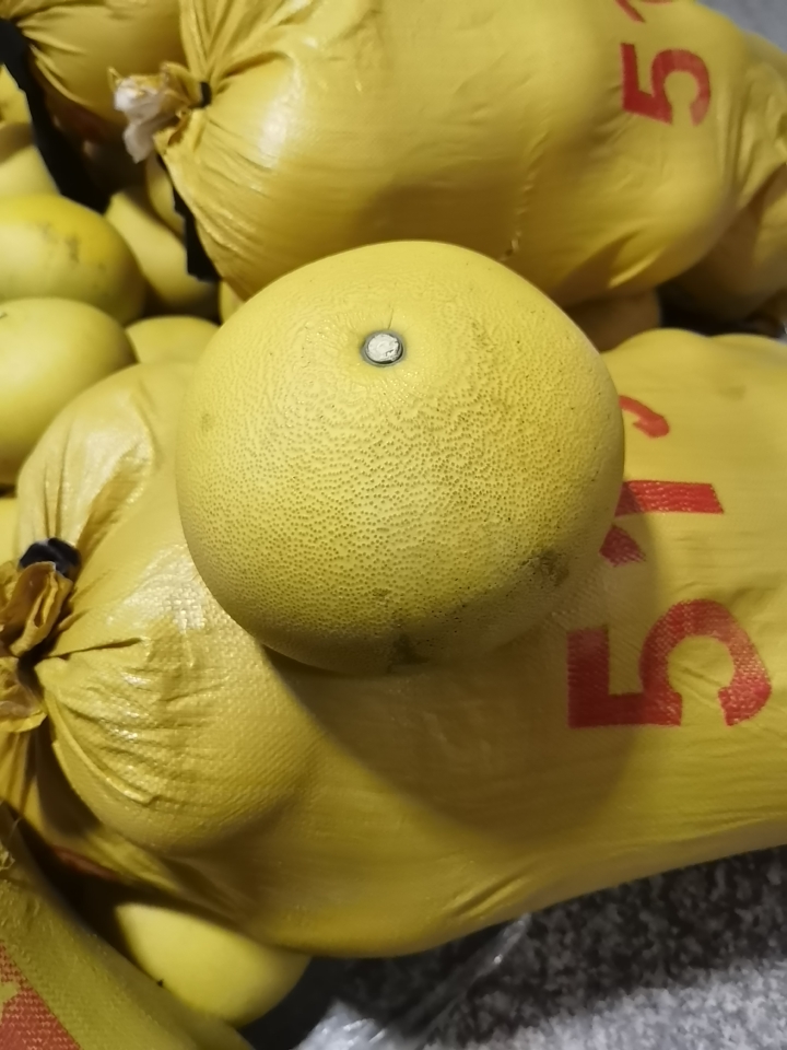 文旦柚 玉环文旦