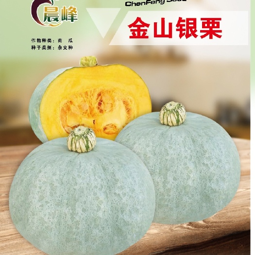 海口银栗南瓜种子 改良板栗南瓜，口感更好，厂家直销