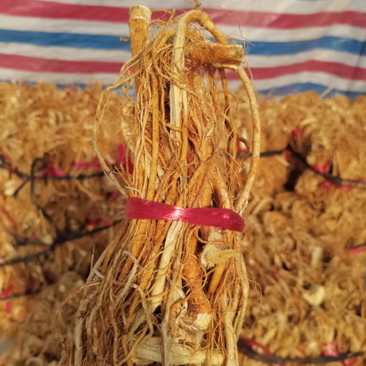 五指毛桃干品