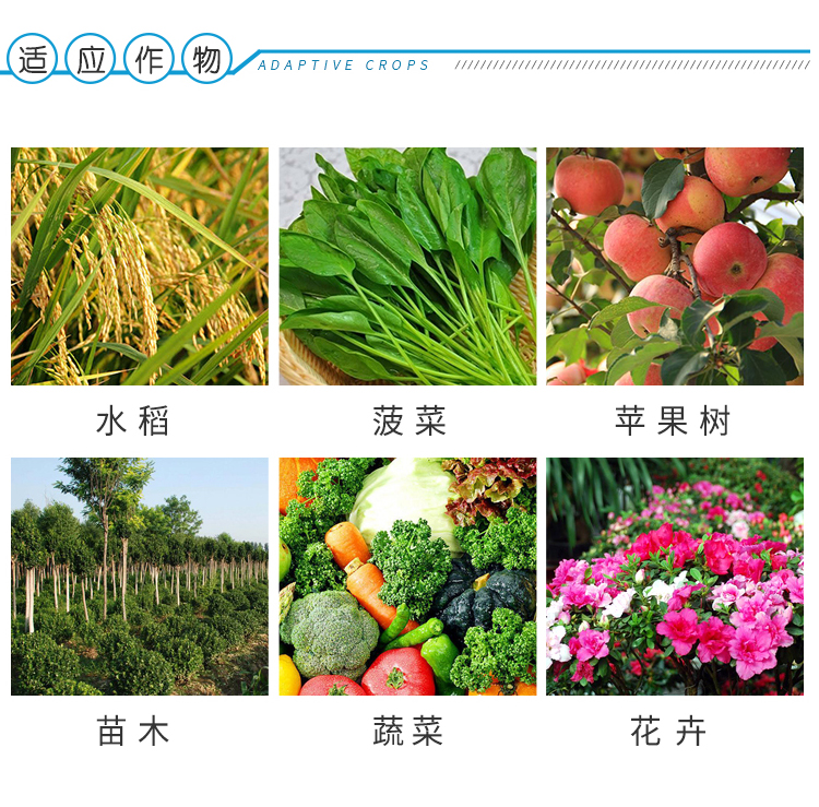 蚜蟲(chóng)專用藥啶蟲(chóng)脒白粉虱蔬菜果樹(shù)茶葉飛虱薊馬綠葉蟬農(nóng)藥殺蟲(chóng)劑