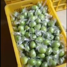 广西平南大青枣蜜丝枣牛奶枣产地直供货源充足