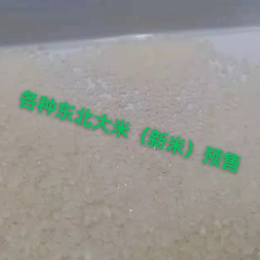 舒兰市吉林珍珠米（新米）
