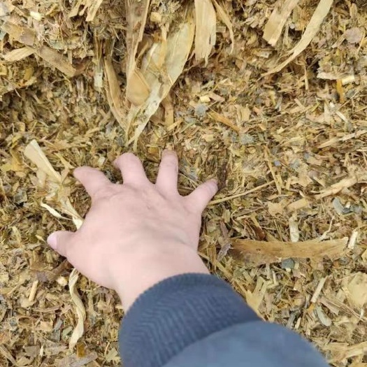 宿州玉米秸秆