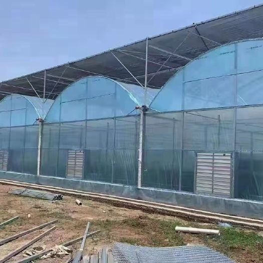 邳州市种植大棚 温棚 大棚 连栋温室大棚  单体温棚 椭圆管温棚 养殖温棚