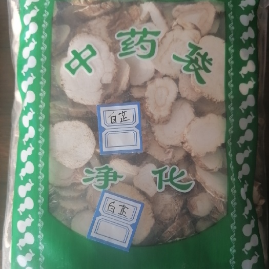定州市白芷 白芷河北白芷无硫白芷，川白芷，红皮白芷