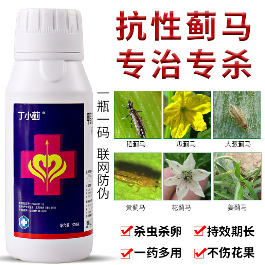 丁小蓟蓟马专用药甲维盐月季花卉茄子豆角草莓柑橘果树农药杀虫