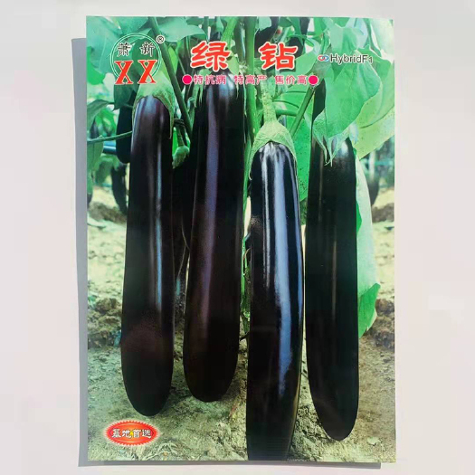 沭阳县茄子种子绿钻茄子紫黑色绿萼绿把果长30-40cm横直径6-7