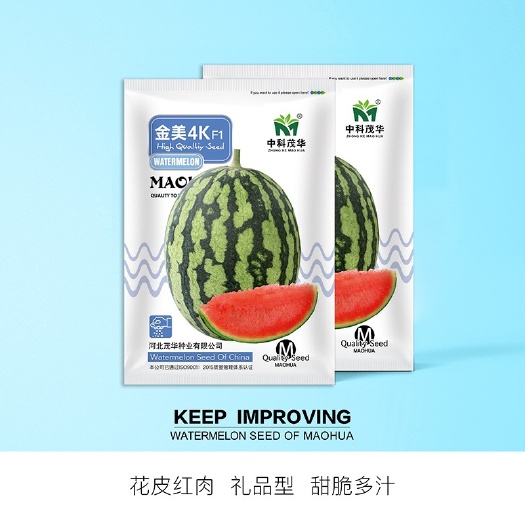 夏邑县金美4K礼品西瓜西瓜种子 花皮红肉 甜脆多汁 外