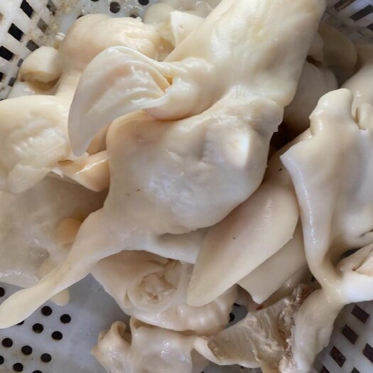 商河县羊头