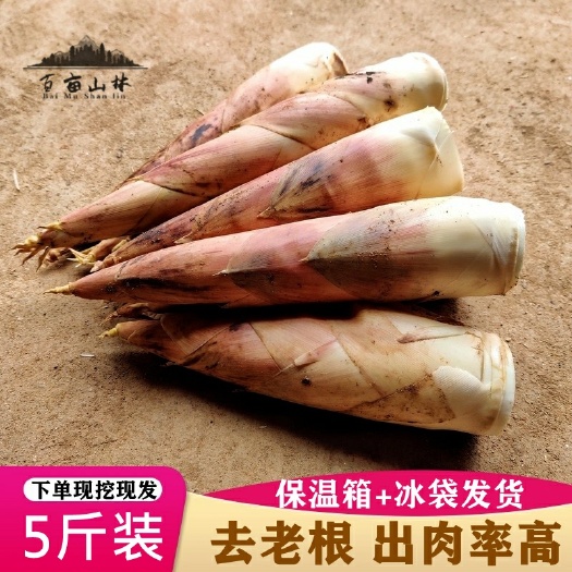 建瓯市雷笋新鲜小竹笋建瓯嫩笋现挖笋黄泥笋春笋可走整车大量出货中