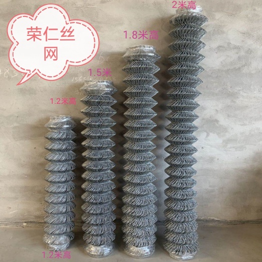 安平县荷兰网  热镀锌防锈勾花网铁丝网圈鸡鸭网围栏网防护网菱形网